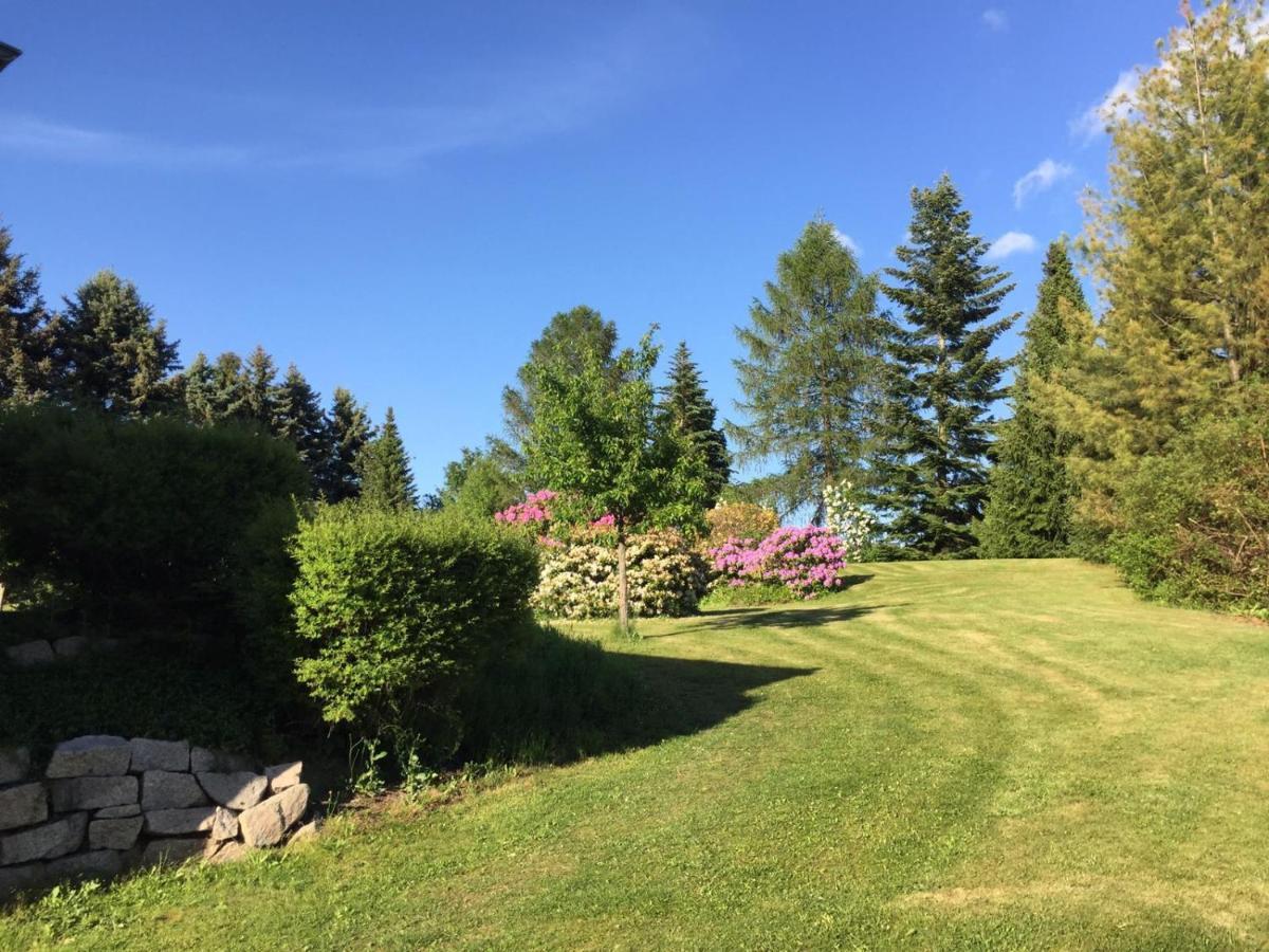 Hotel Am Kunnerstein 奥古斯都堡 外观 照片